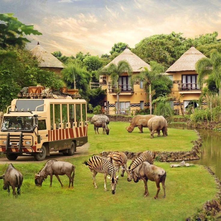 Bali Safari