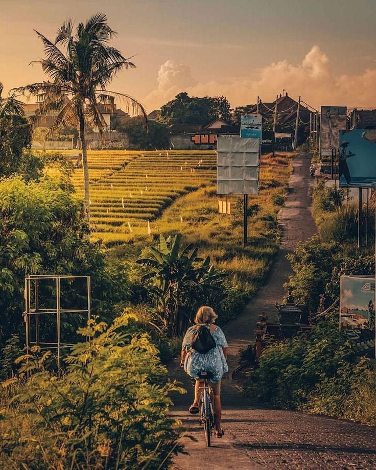 Cycling Tour