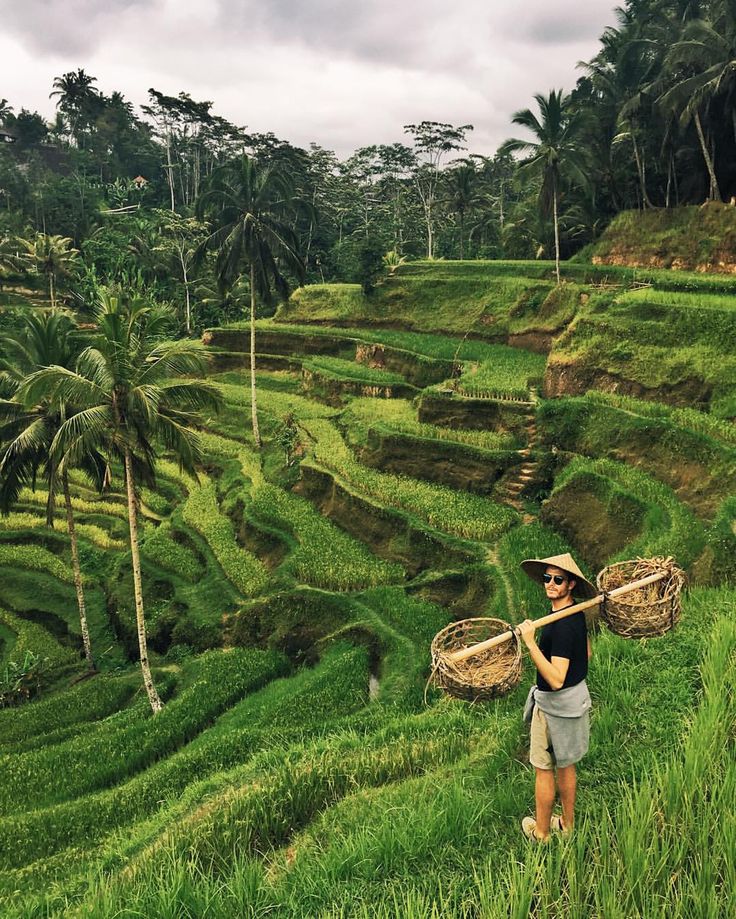 Tegalalang Rice Terrace