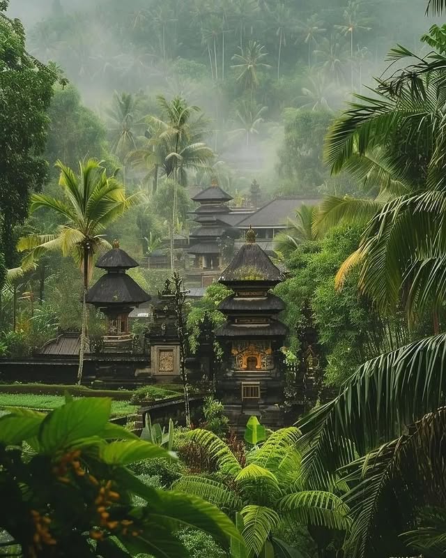 Ubud Tour 2